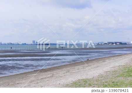 千葉県船橋市三番瀬海浜公園周辺2026年4月 139078421