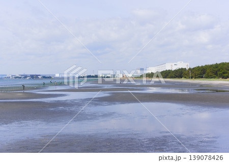 千葉県船橋市三番瀬海浜公園周辺2026年4月 千葉県船橋市三番瀬海浜公園周辺2026年4月 139078426
