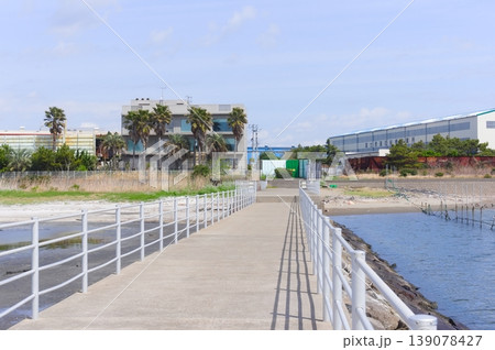 千葉県船橋市三番瀬海浜公園周辺2026年4月 千葉県船橋市三番瀬海浜公園周辺2026年4月 139078427