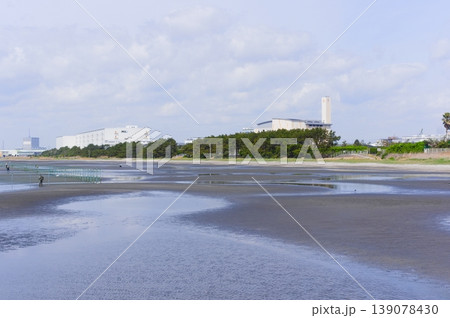 千葉県船橋市三番瀬海浜公園周辺2026年4月 千葉県船橋市三番瀬海浜公園周辺2026年4月 139078430