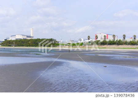 千葉県船橋市三番瀬海浜公園周辺2026年4月 139078436