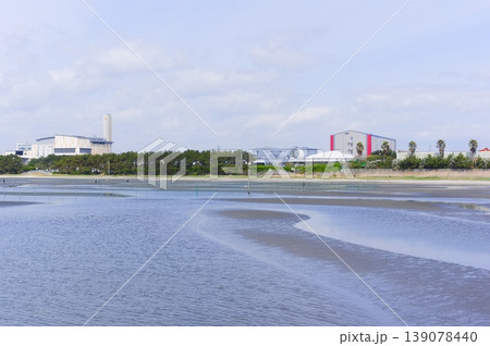 千葉県船橋市三番瀬海浜公園周辺2026年4月 139078440