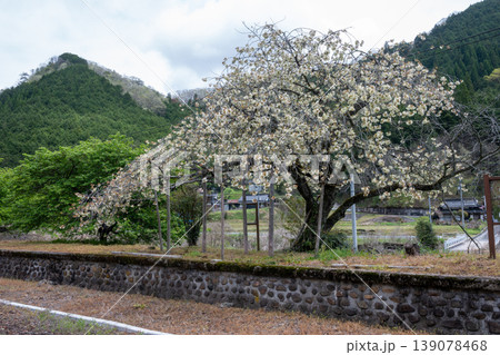 日本の岡山県新見市の古くてとても美しい鉄道駅の風景 日本の岡山県新見市の古くてとても美しい鉄道駅の風景 139078468