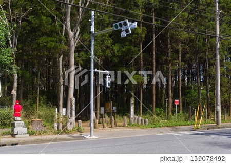 千葉県船橋市船橋県民の森周辺2026年4月 千葉県船橋市船橋県民の森周辺2026年4月 139078492