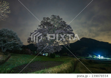 日本の広島県庄原市東城町のとても美しい夜桜 日本の広島県庄原市東城町のとても美しい夜桜 139078554