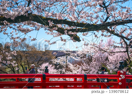 260408中橋桜g010 139078612