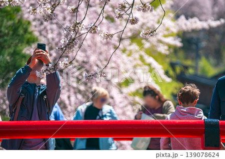 260408中橋桜g046 260408中橋桜g046 139078624