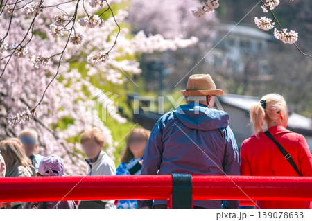 260408中橋桜g074 260408中橋桜g074 139078633