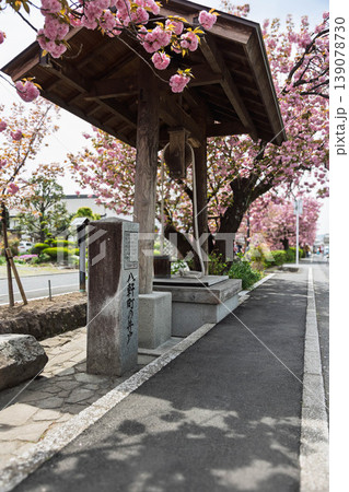春の白井宿 八軒町の井戸 群馬県渋川市 春の白井宿 八軒町の井戸 群馬県渋川市 139078730