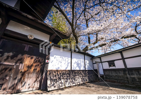 260408江名子川桜s007 139078758