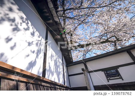 260408江名子川桜s011 139078762