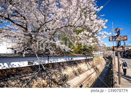 260408江名子川桜s025 260408江名子川桜s025 139078774