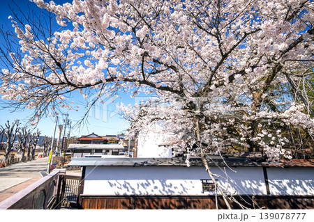 260408江名子川桜s031 139078777