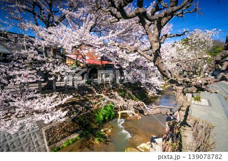 260408江名子川桜s051 139078782