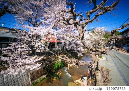 260408江名子川桜s056 260408江名子川桜s056 139078783