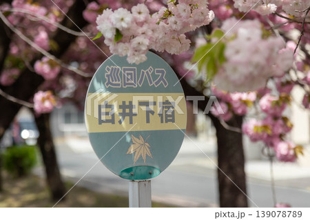 春の白井宿 巡回バスのバス停 群馬県渋川市 春の白井宿 巡回バスのバス停 群馬県渋川市 139078789