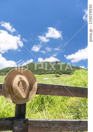 初夏・新緑のイメージ'(蒜山高原） 139078930
