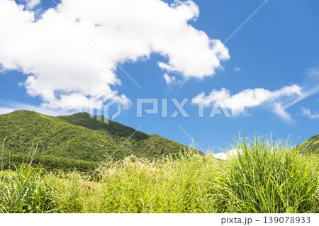 初夏・新緑のイメージ'(蒜山高原) 初夏・新緑のイメージ'(蒜山高原) 139078933