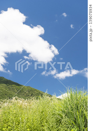 初夏・新緑のイメージ'(蒜山高原） 139078934
