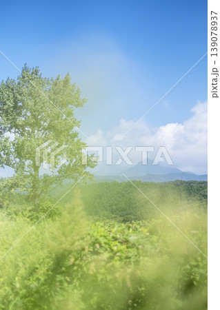 初夏・新緑のイメージ'(蒜山高原） 139078937