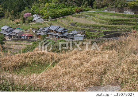 春の山村風景　奈良県高市郡明日香村 139079027