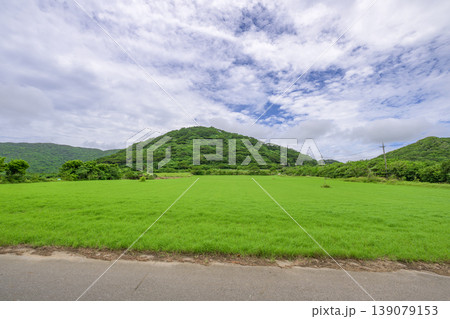 緑の草原と小高い丘が広がる石垣島の穏やかな風景 139079153