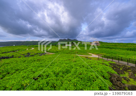 深い緑と曇天が広がる辺戸岬の雄大な自然風景 深い緑と曇天が広がる辺戸岬の雄大な自然風景 139079163