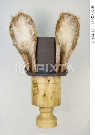 White rabbit or march hare hat. Bunny ears attached to the top hat on wooden stand. Hatter Headdress for Alice in wonderland. White rabbit or march hare hat. Bunny ears attached to the top hat on wooden stand. Hatter Headdress for Alice in wonderland. 139079236