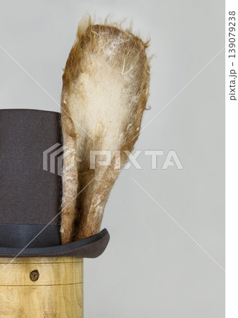White rabbit or march hare hat. Bunny ears attached to the top hat on wooden stand. Hatter Headdress for Alice in wonderland. 139079238