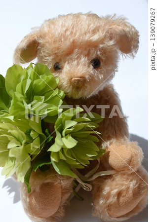 グリーンのクリスマスローズとテディベア　 139079267