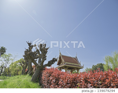 陽光降り注ぐ異国の風景。鶴見緑地・タイ庭園に映える伝統のサラ・タイ 139079294