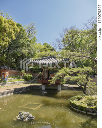 静寂の池畔。新緑に包まれた鶴見緑地・韓国庭園の伝統建築 139079295