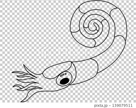 A pop-style illustration of Anethoceras alduennese (ammonite). A pop-style illustration of Anethoceras alduennese (ammonite). 139079511