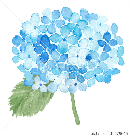 水彩あじさいイラスト 139079646
