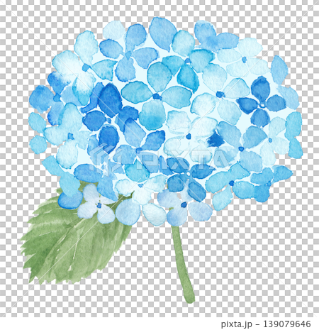 水彩あじさいイラスト 139079646