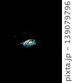 Digital SIM Card Icon on Smartphone Screen 139079796