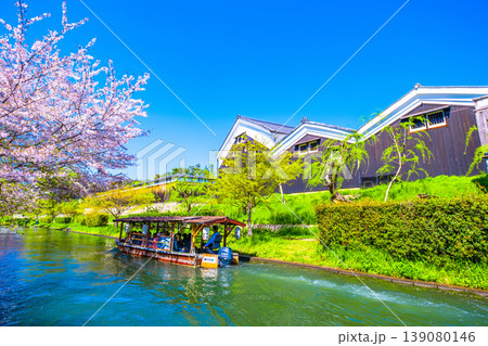 京都 伏見の十石舟と運河の桜 京都 伏見の十石舟と運河の桜 139080146