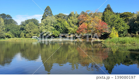 Serene lakeside view with colorful autumn foliage in Tasmania, Australia Serene lakeside view with colorful autumn foliage in Tasmania, Australia 139080197