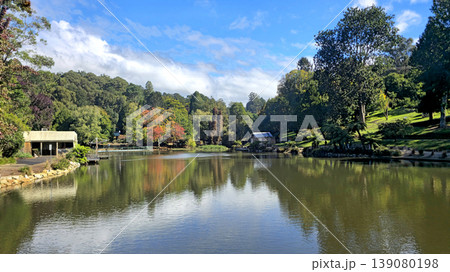 Serene lake reflecting colorful autumn trees and blue sky with clouds in Tasmania 139080198