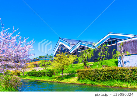 京都 伏見の酒蔵と運河の桜 139080324
