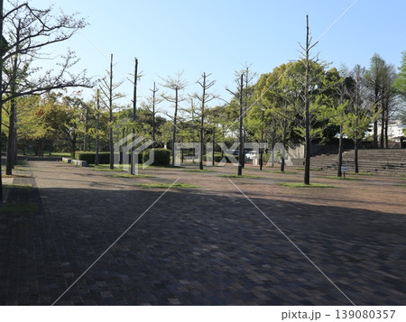 西神工業団地の池 周辺 西神 神戸市 西区 西神工業団地の池 周辺 西神 神戸市 西区 139080357