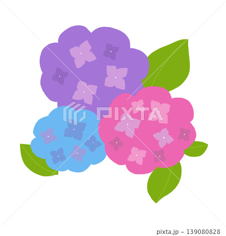 シンプルな紫陽花の手描きイラスト シンプルな紫陽花の手描きイラスト 139080828
