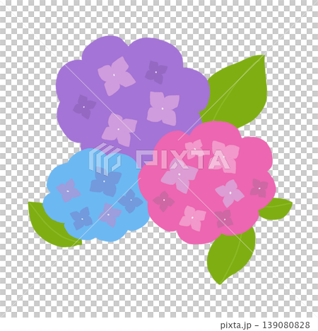 シンプルな紫陽花の手描きイラスト シンプルな紫陽花の手描きイラスト 139080828