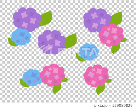 シンプルな紫陽花の手描きイラストセット シンプルな紫陽花の手描きイラストセット 139080829