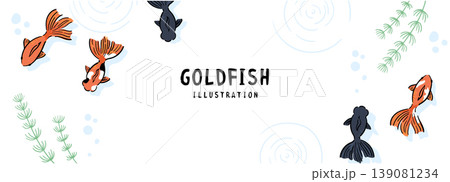 余白を大きく取った横長レイアウトの金魚フレーム背景イラスト 139081234
