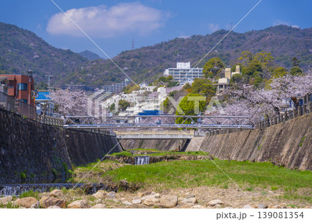 芦屋川沿いの桜並木 139081354