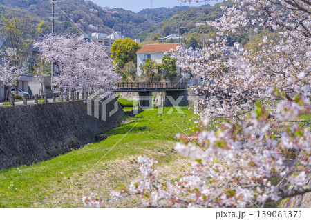 芦屋川沿いの桜並木 大僧橋が見える 芦屋川沿いの桜並木 大僧橋が見える 139081371
