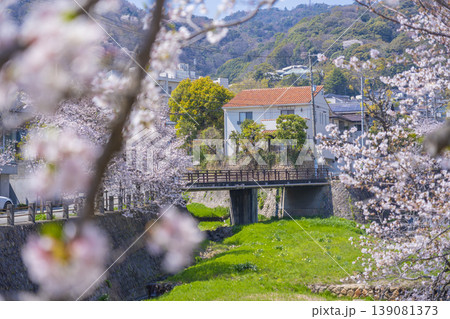 芦屋川沿いの桜並木　大僧橋が見える 139081373