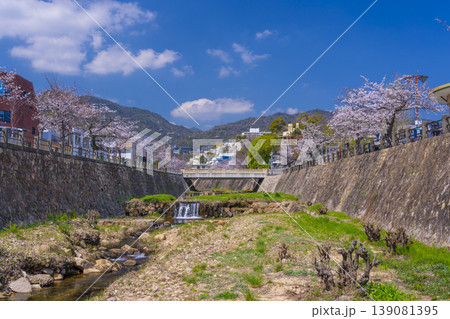 芦屋川沿いの桜並木 139081395