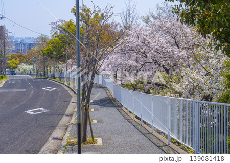 青谷川公園の桜 青谷川公園の桜 139081418